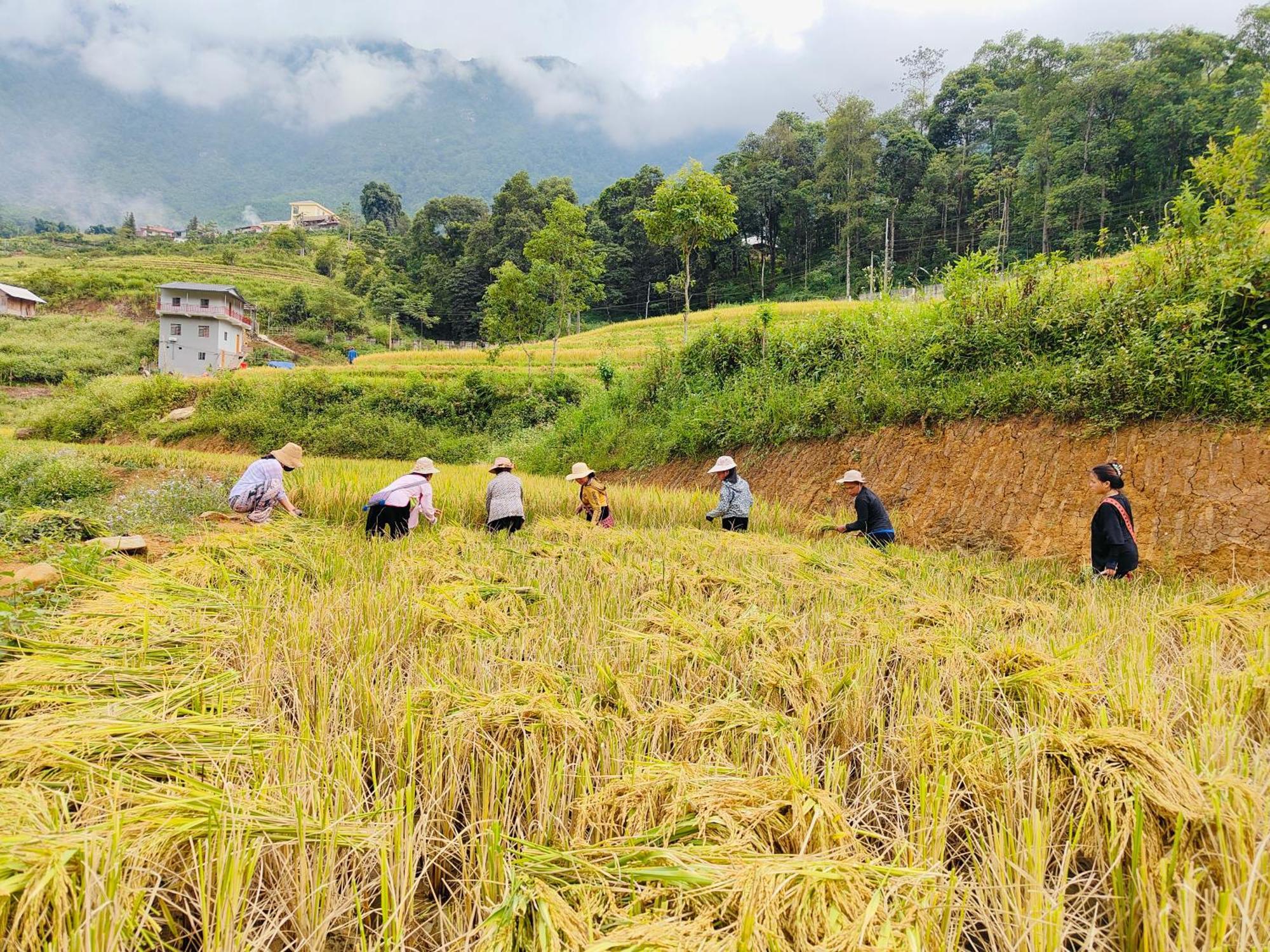 Hmong Wooden Home سابا المظهر الخارجي الصورة